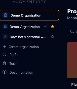 Organisation switcher showing available organisations, profile, trash, and documentation links